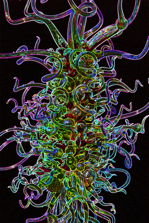 Chihuly Altered #5
