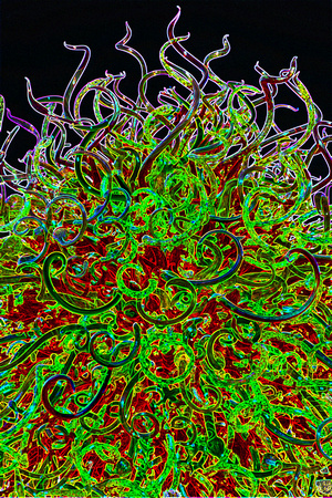 Chihuly Altered #8