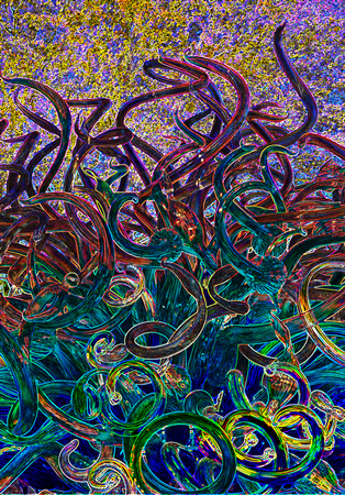 Chihuly Altered #6