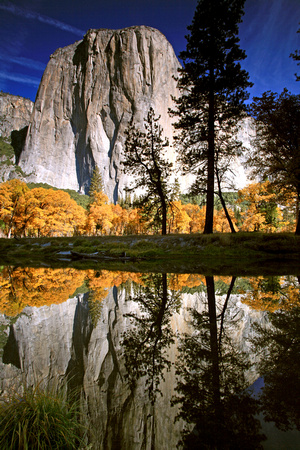 Fall in Yosemite #1