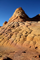 Cottonwood - South Coyote Buttes - 2014